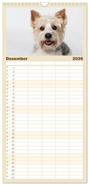 Produktbild: Familienplaner 2026 - Kleine Hunde - Gro&szlig;e Blicke mit 5 Spalten (Wandkalender, 21 x 45 cm) CALVENDO