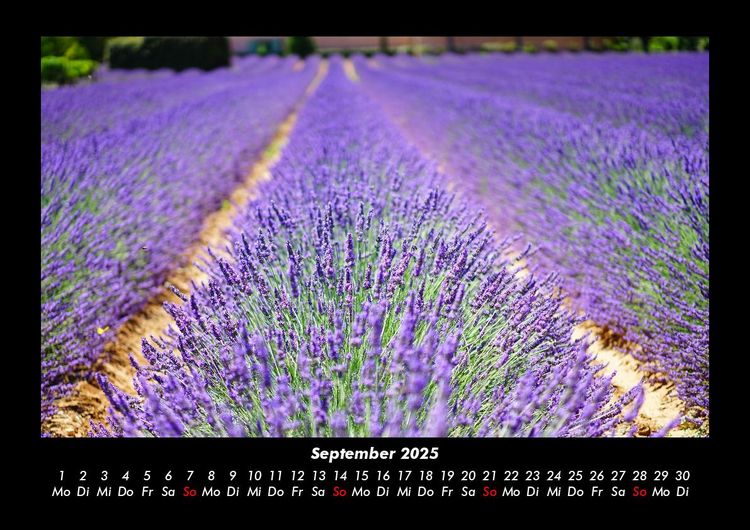 Produktbild: Blumenzauber 2025 Fotokalender DIN A3