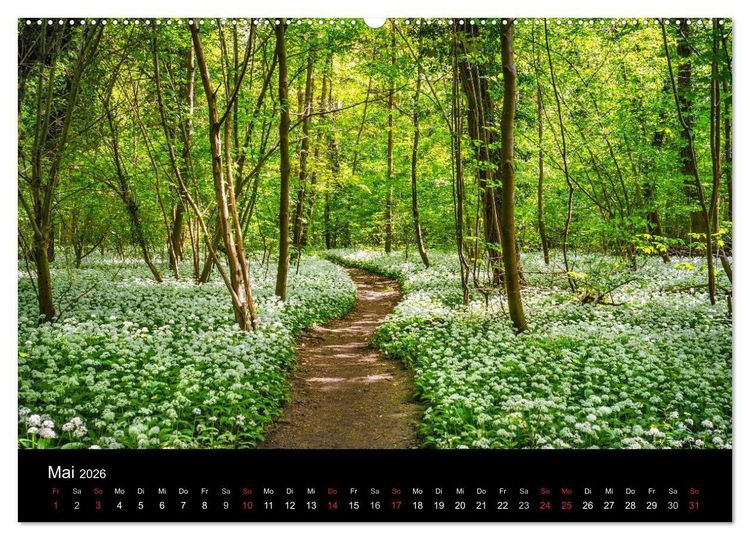 Produktbild: Mannheimer Waldpark (hochwertiger Premium Wandkalender 2026 DIN A2 quer), Kunstdruck in Hochglanz