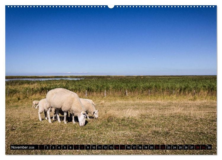 Produktbild: Insel Fehmarn - Impressionen eines Sommertages an der Ostsee (Wandkalender 2026 DIN A2 quer), CALVENDO Monatskalender