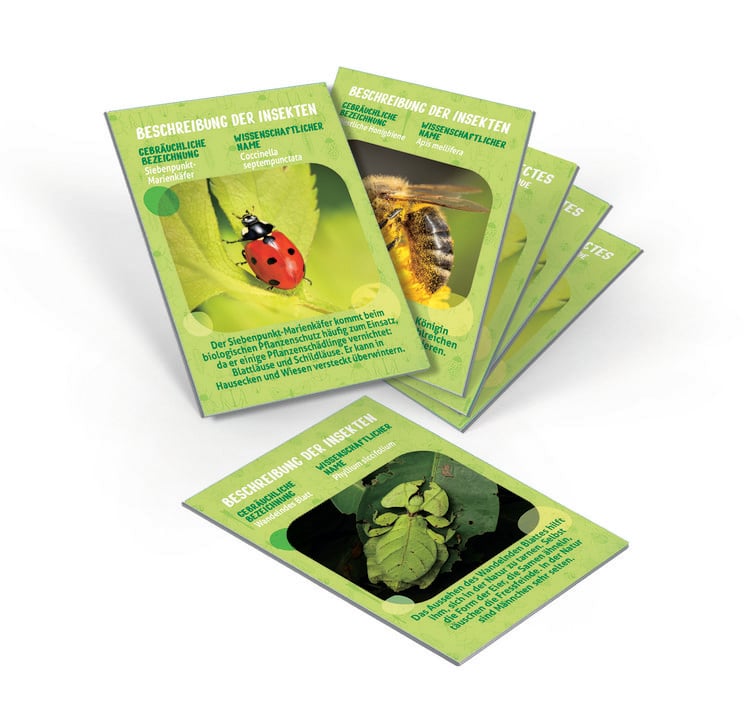 Produktbild: Galileo Meine mobile Insekten-Station