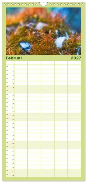 Produktbild: Familienplaner 2027 - Vielfalt am Waldboden mit 5 Spalten (Wandkalender, 21 x 45 cm) CALVENDO