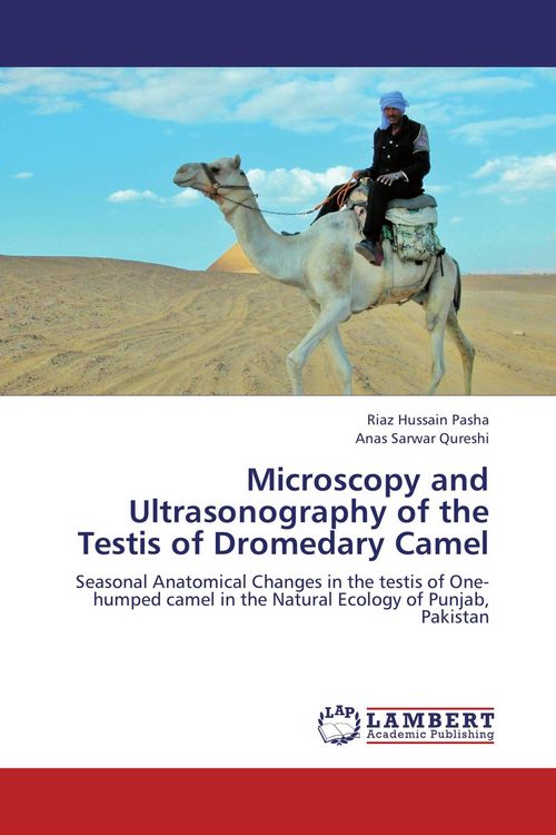 Produktbild: Microscopy and Ultrasonography of the Testis of Dromedary Camel