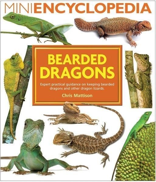 Produktbild: Bearded Dragons