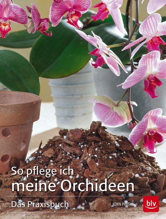 Produktbild: So pflege ich meine Orchideen