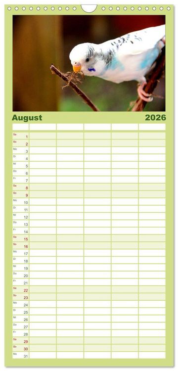 Produktbild: Familienplaner 2026 - Wellensittiche mit 5 Spalten (Wandkalender, 21 x 45 cm) CALVENDO
