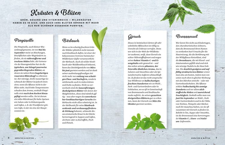 Produktbild: Kräuterglück mit den Landfrauen