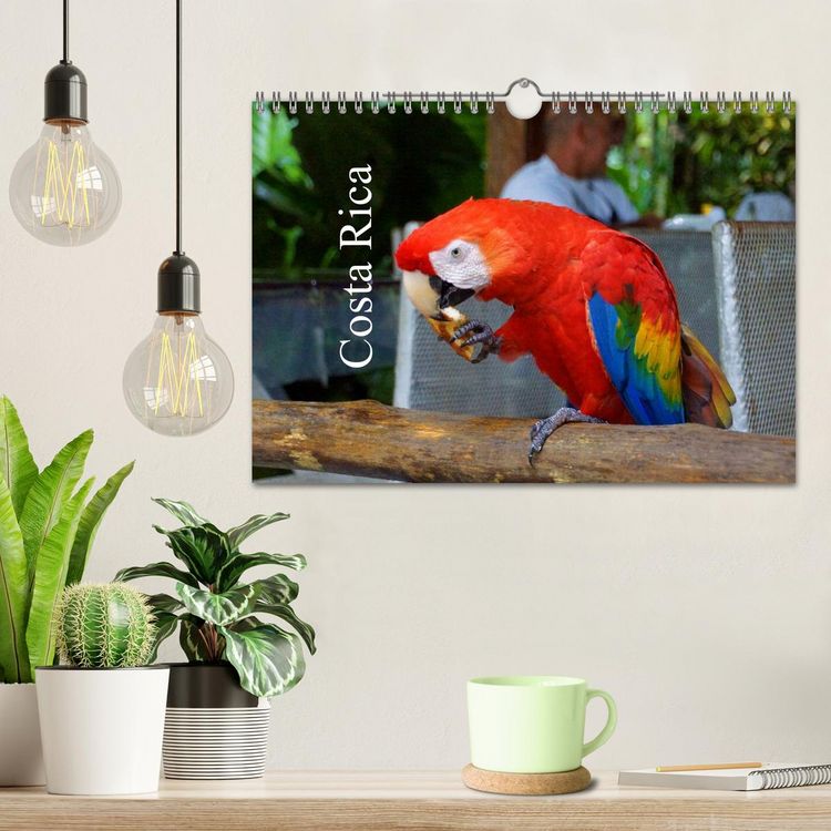 Produktbild: Costa Rica (Wandkalender 2026 DIN A4 quer), CALVENDO Monatskalender
