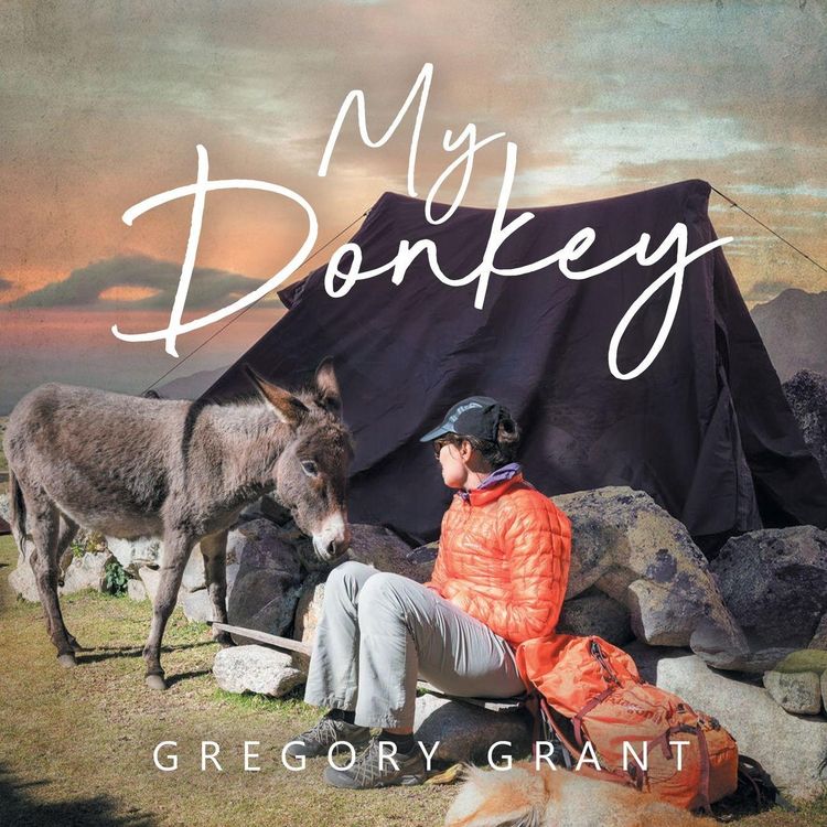 Produktbild: My Donkey