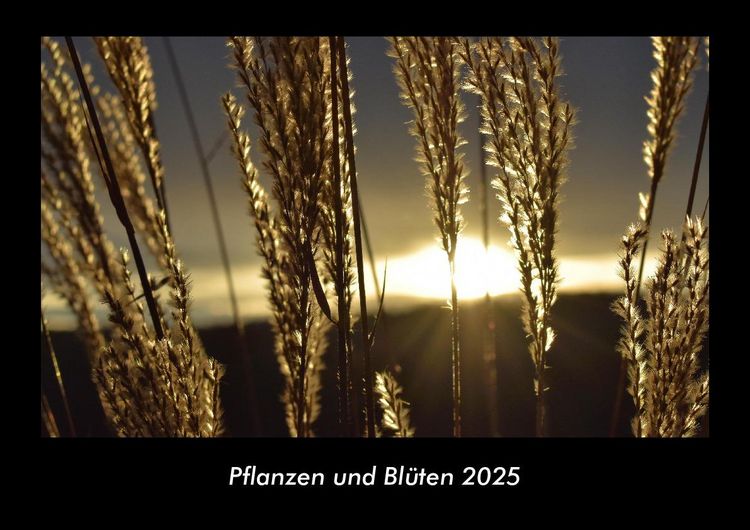 Produktbild: Pflanzen und Bl&uuml;ten 2025 Fotokalender DIN A3