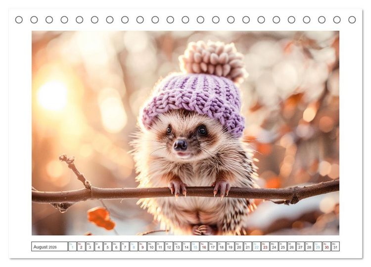Produktbild: Lustige Igel (Tischkalender 2026 DIN A5 quer), CALVENDO Monatskalender