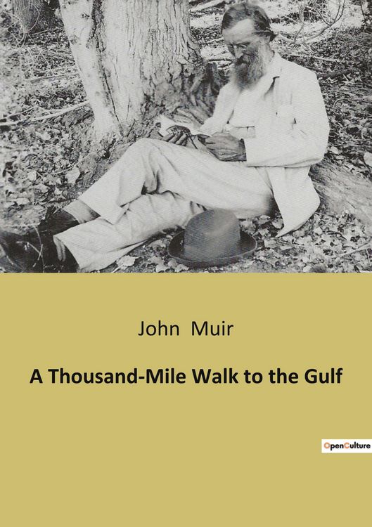 Produktbild: A Thousand-Mile Walk to the Gulf