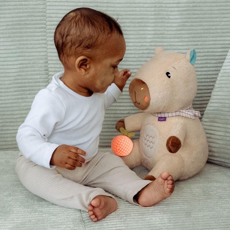 Produktbild: Kuscheltier Capybara XL