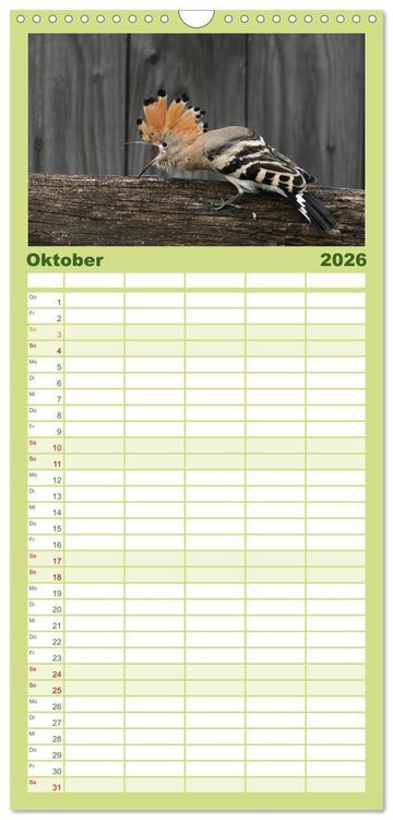 Produktbild: Familienplaner 2026 - Der Wiedehopf mit 5 Spalten (Wandkalender, 21 x 45 cm) CALVENDO