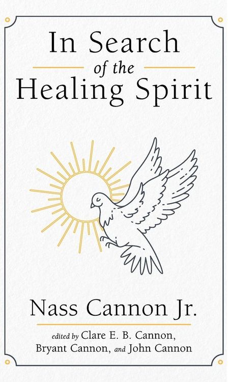 Produktbild: In Search of the Healing Spirit