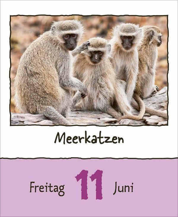 Produktbild: Tierisch unterwegs 2027
