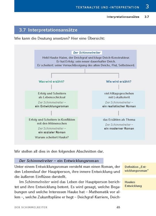 Produktbild: Der Schimmelreiter von Theodor Storm