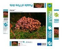 Produktbild: CALVENDO Puzzle Pilzgruppe 1000 Teile Lege-Gr&ouml;&szlig;e 640 x 480 cm Foto-Puzzle Bild von Peter Roder