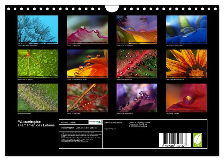 Produktbild: Wassertropfen - Diamanten des Lebens (Wandkalender 2026 DIN A4 quer), CALVENDO Monatskalender