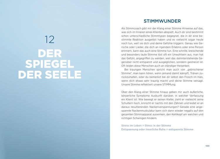 Produktbild: Sei eine Stimme, nicht nur ein Echo