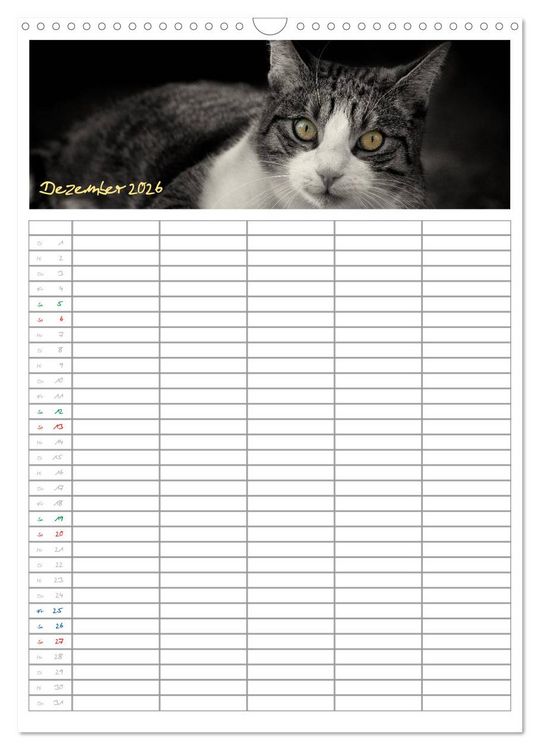 Produktbild: Miezekatzen Planungskalender (Wandkalender 2026 DIN A3 hoch), CALVENDO Monatskalender