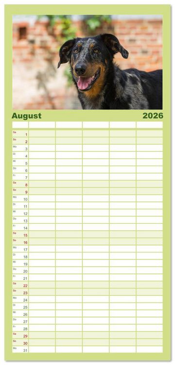 Produktbild: Familienplaner 2026 - Der Beauceron mit 5 Spalten (Wandkalender, 21 x 45 cm) CALVENDO