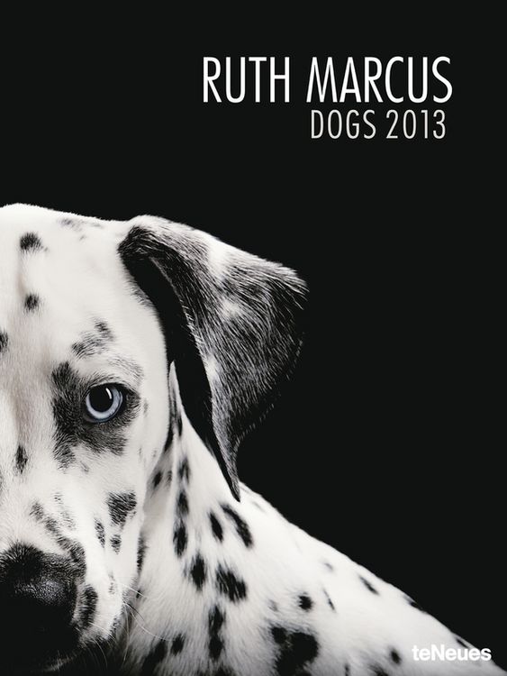 Produktbild: Dogs 2013 - Ruth Marcus