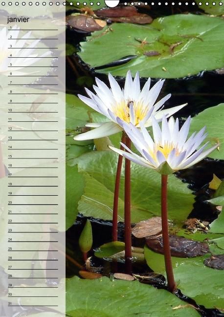 Produktbild: Blank, R: Fleurs tropicales / calendrier anniversaire (Calen