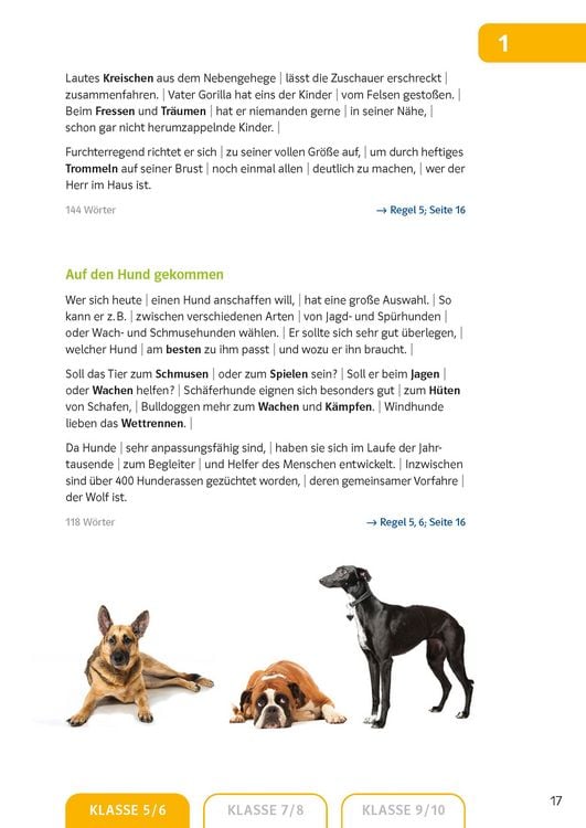 Produktbild: Klett Sicher in Deutsch Diktate 5.-10. Klasse