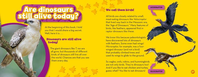 Produktbild: You Can Be a Paleontologist!