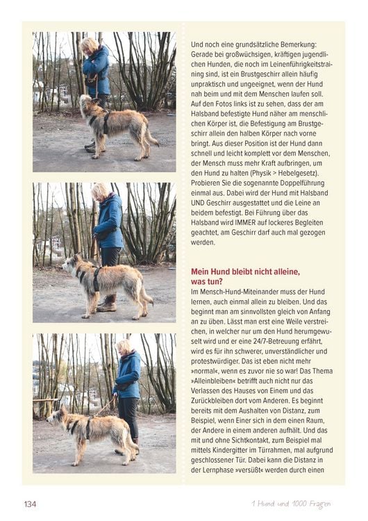 Produktbild: Ein Hund und 1000 Fragen