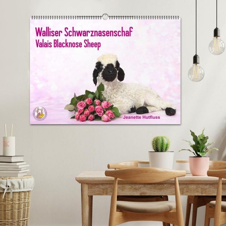 Produktbild: Walliser Schwarznasenschaf Valais Blacknose Sheep (Wandkalender 2027 DIN A2 quer), CALVENDO Monatskalender