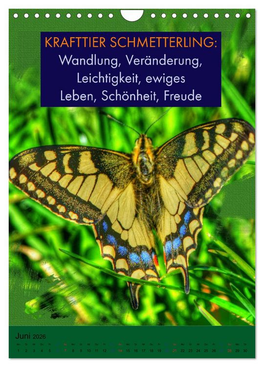 Produktbild: Afrikanische Krafttiere und deren Bedeutung (Wandkalender 2026 DIN A4 hoch), CALVENDO Monatskalender