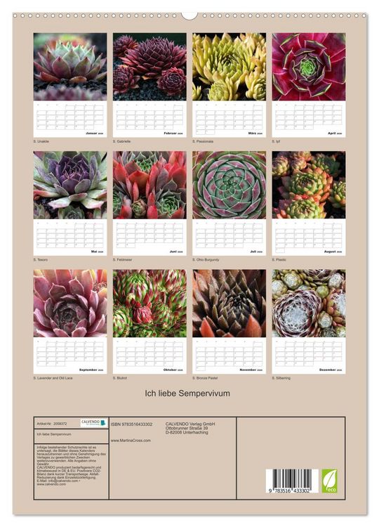 Produktbild: Ich liebe Sempervivum (hochwertiger Premium Wandkalender 2026 DIN A2 hoch), Kunstdruck in Hochglanz