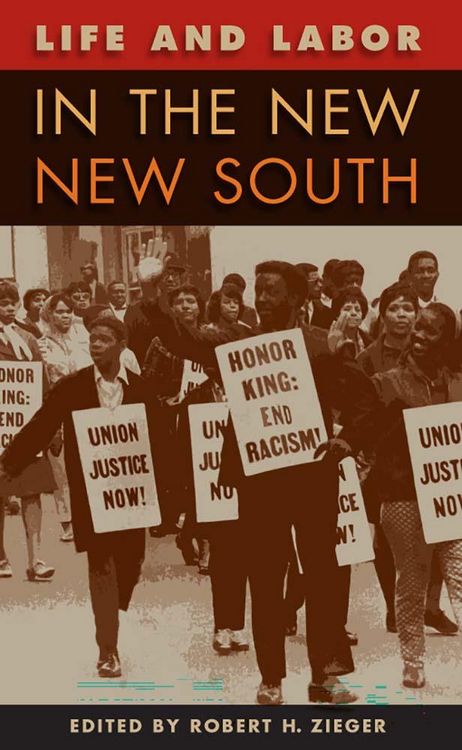 Produktbild: Life and Labor in the New New South