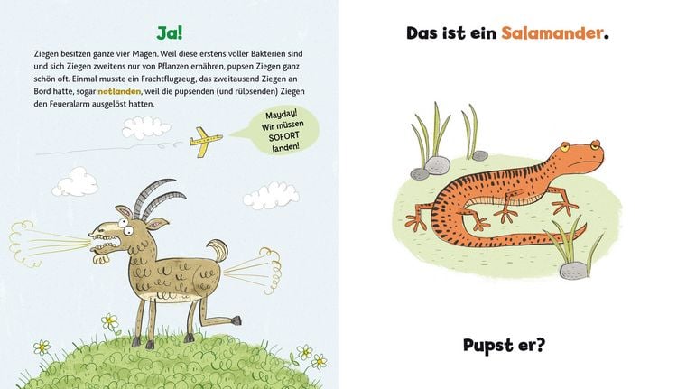 Produktbild: Wer hat hier gepupst?