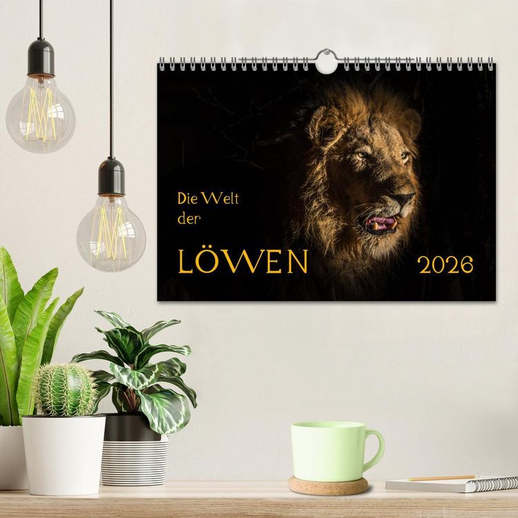 Produktbild: Die Welt der L&ouml;wen (Wandkalender 2026 DIN A4 quer), CALVENDO Monatskalender
