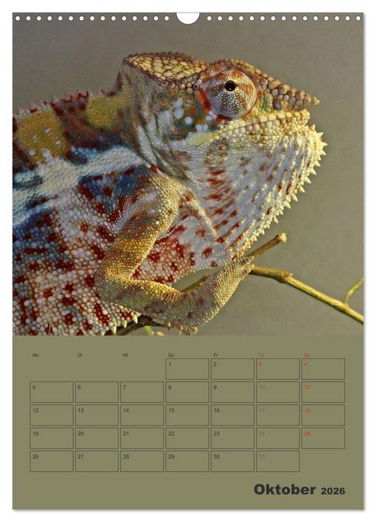Produktbild: Minidrachen - Die kleinen Nachkommen der Urzeitmonster (Wandkalender 2026 DIN A3 hoch), CALVENDO Monatskalender