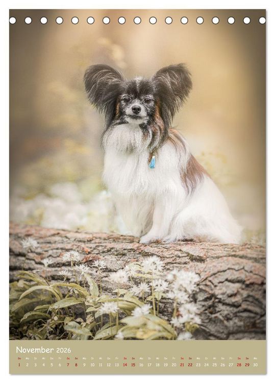 Produktbild: Flora Canidae - der Hunde-Bl&uuml;hpflanzen-Kalender (Tischkalender 2026 DIN A5 hoch), CALVENDO Monatskalender