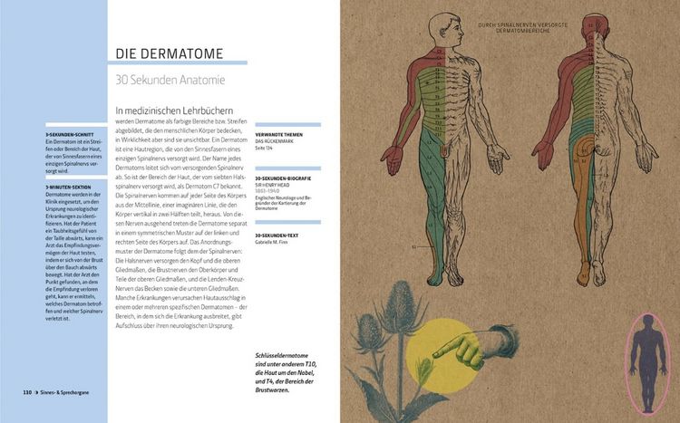 Produktbild: Anatomie und Medizin in 30 Sekunden