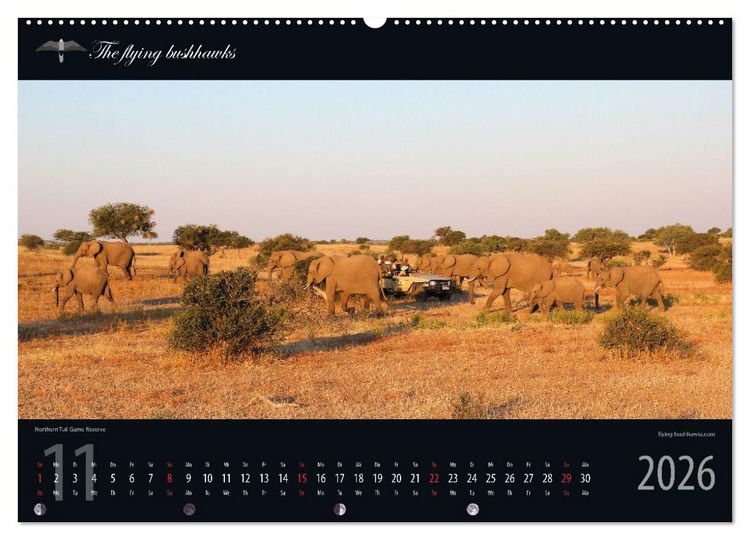 Produktbild: Botswana Blickwinkel 2026 (hochwertiger Premium Wandkalender 2026 DIN A2 quer), Kunstdruck in Hochglanz