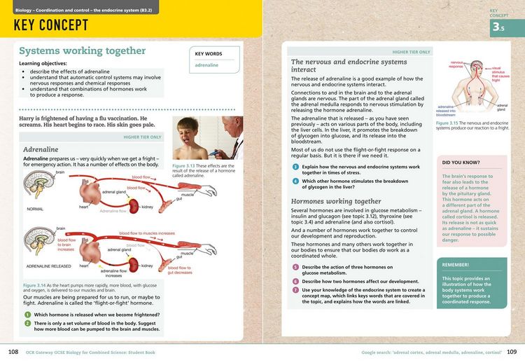 Produktbild: Collins GCSE Science - OCR Gateway GCSE (9-1) Biology for Combined Science