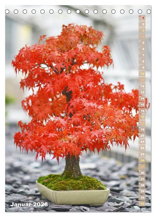 Produktbild: Bonsai: Gartenkunst im Kleinen (Tischkalender 2026 DIN A5 hoch), CALVENDO Monatskalender