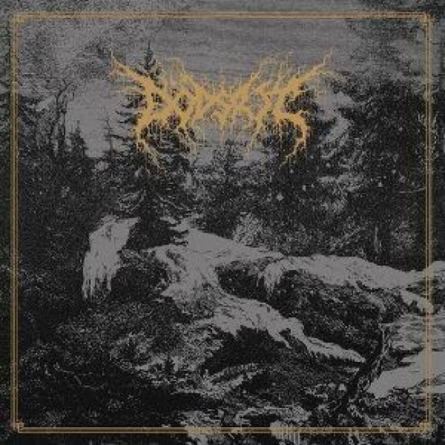 Produktbild: Mortal Coil
