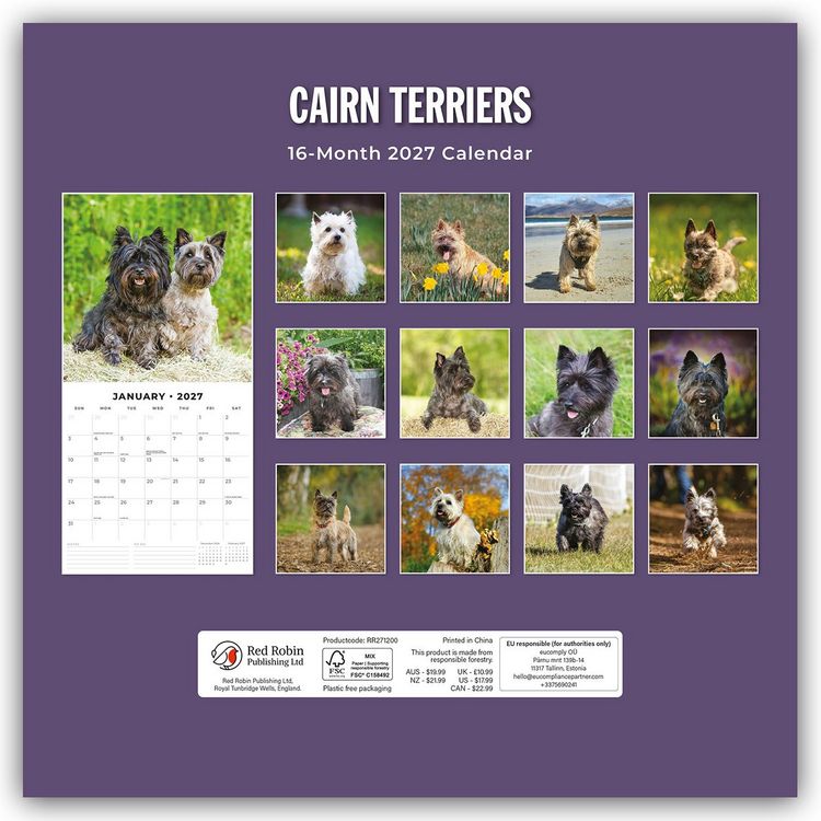 Produktbild: Cairn Terriers &ndash; Cairn Terrier 2027 &ndash; 16-Monatskalender