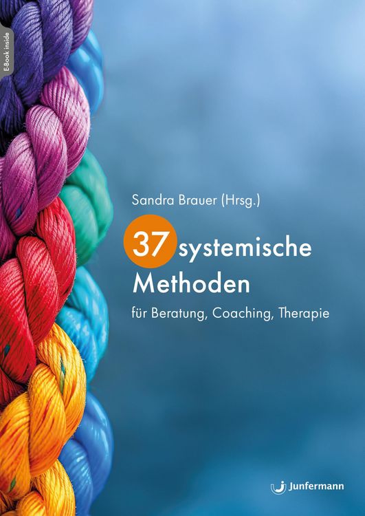 Produktbild: 37 systemische Methoden