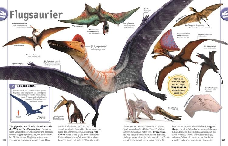 Produktbild: Unsere Welt in 1000 Bildern. Dinosaurier