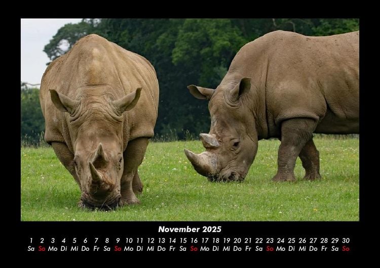 Produktbild: Zoobewohner 2025 Fotokalender DIN A3