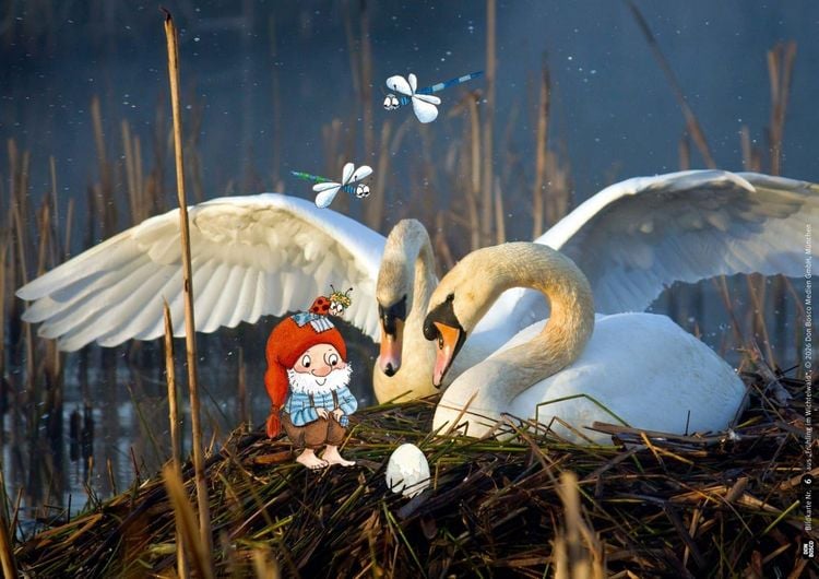 Produktbild: Fr&uuml;hling im Wichtelwald. Kamishibai Bildkartenset