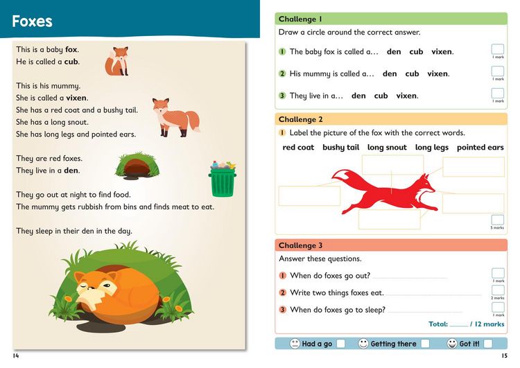 Produktbild: READING COMPRE PRAC YR1 KS1